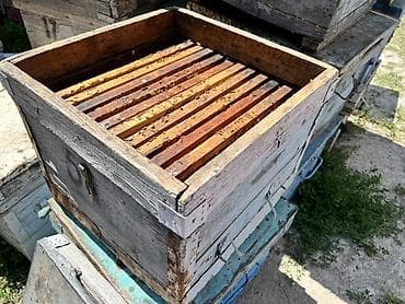 пчелиный ящик: Деревянный Ящик, Б/у — 3