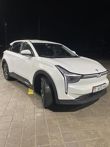 Weltmeister: Weltmeister EX6 Plus, 2022 г., 120000 км — 1