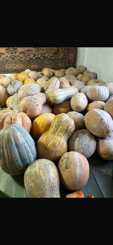 поролон 5 см цена: Тыква домашний из чистого огорода Адрес находится в городе Кант 1кг — 1