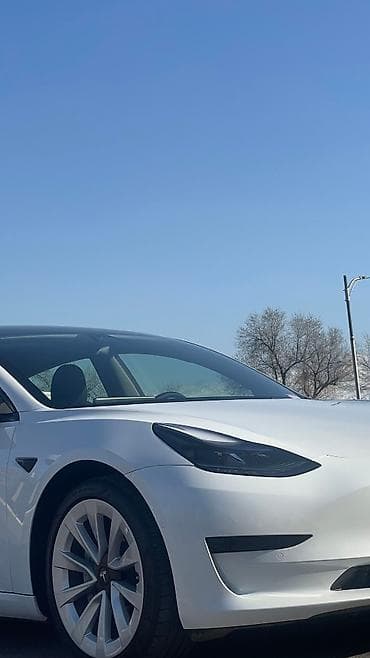 wuling mini ev: Tesla Model 3: 2021 г., Автомат, Электромобиль, Седан — 3