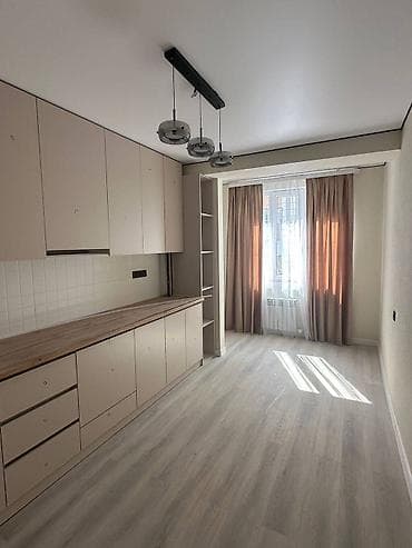 4: 1 комната, 42 м², Пишпек Элитка, 4 этаж, Евроремонт — 5