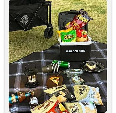dog: Пикниковый коврик BLACK DOG (CBD2550WS013) - Размер: большой — 4