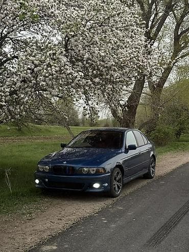 выхлоп x5: BMW 5 series: 2001 г., 2.5 л, Автомат, Бензин, Седан — 2