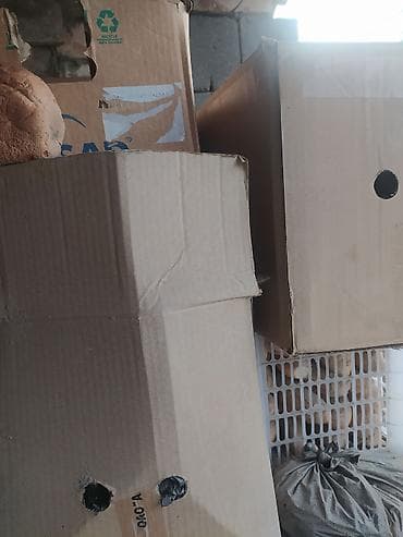 семена пшеница: Домашний пшеничный хлеб, крупный батон формовой выпечки. УЧ.КАРОПКА — 2