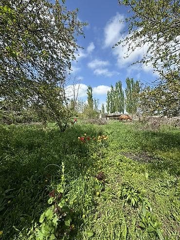 уч: 📍В Сокулуке продаётся дом на участке 9.5 соток. 🏡Дом состоит из 4 х — 3