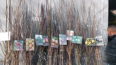 контейнер для вещей: Оптом толка — 3