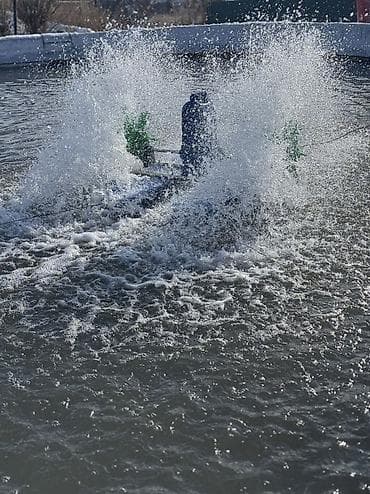 компрессор 100: Аэратор-миксер для прудов/рыбоводческих хозяйств 750w 220v Описание — 1