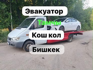 С лебедкой, С манипулятором, Со сдвижной платформой