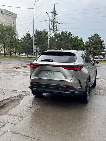 панель лексус: Lexus NX: 2023 г., Автомат, Бензин, Кроссовер — 3