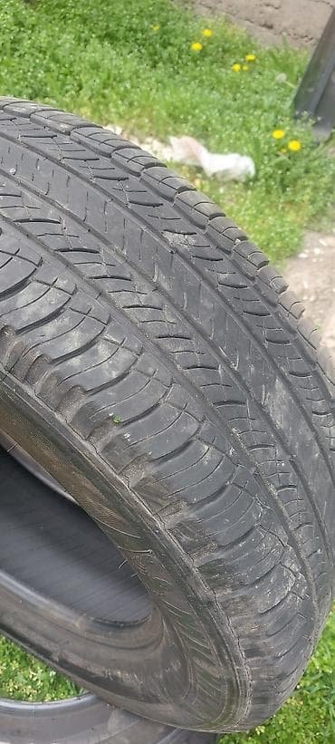 mishelin: Шины 265 / 60 / R 18, Лето, Комплект, Внедорожные (АТ/МТ), Michelin — 10