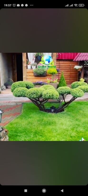 дизайнерский ремонт бишкек: Дизайн — 2