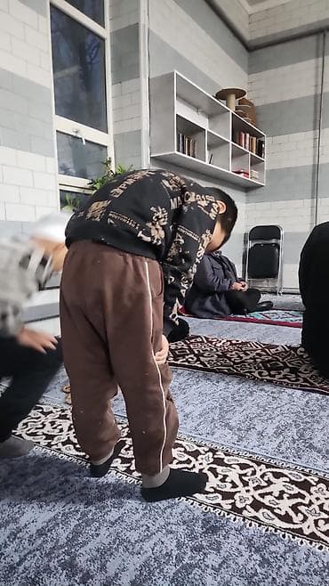 продаю кролов: Продаю | Овца (самка) | Для разведения | Матка — 3