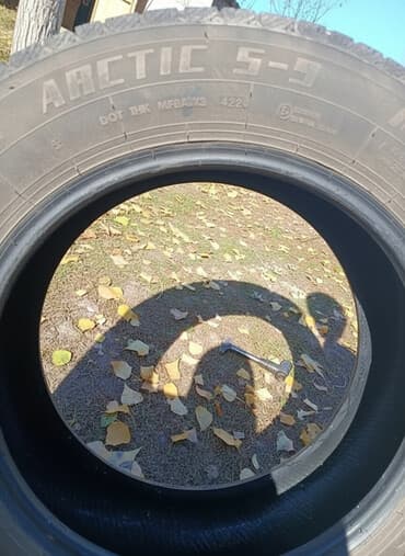 шины 2356516c: Шины 235 / 60 / R 18, Зима, Внедорожные (АТ/МТ) — 1