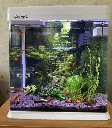 цена стаффа: Аквариумный комплект Xilong с оборудованием и оформлением 31 литр — 1