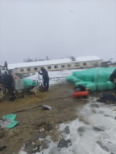 мышык бишкек: Силос хорошего качества 9 сом в бабинах село Александровка — 10