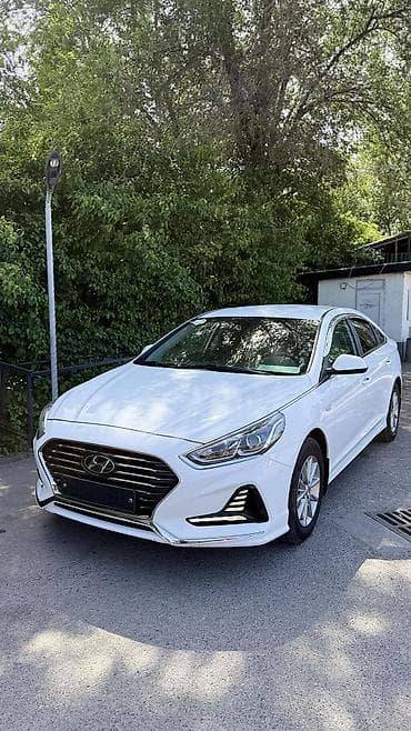 дверь сапог: Hyundai Sonata: 2021 г., 2 л, Автомат, Газ, Седан — 8