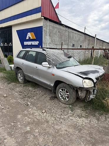 Hyundai Santa Fe: 2004 г., 2.4 л, Механика, Бензин, Кроссовер