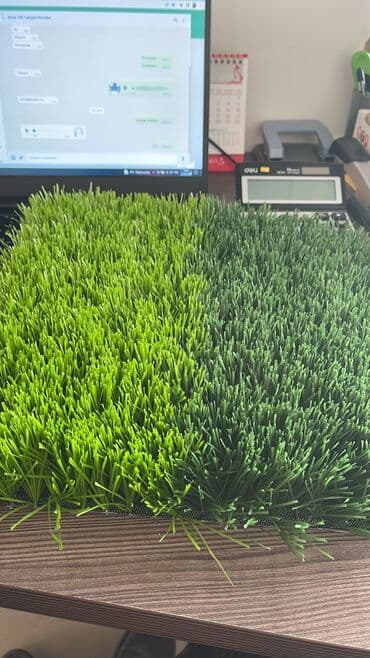 цена искусственного газона для футбольного поля: Газон, Газон для минифутбола, Газон для футбольных полей — 2