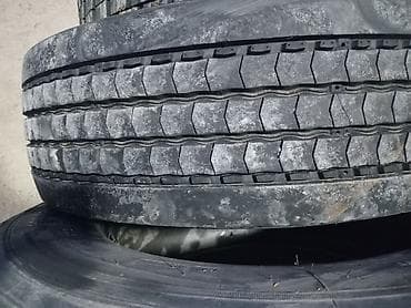 Шины и диски: Шины 265 / 70 / R 19.5, Грузовики/Автобусы, Германия, Michelin — 2