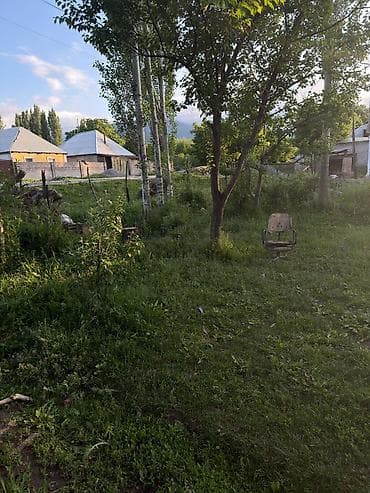 Продаётся земельный участок с жилым домом в сельской местности. -