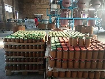 продаю дом беш кунгой особняк: Общая характеристика консервного производства. Местонахождение – — 1