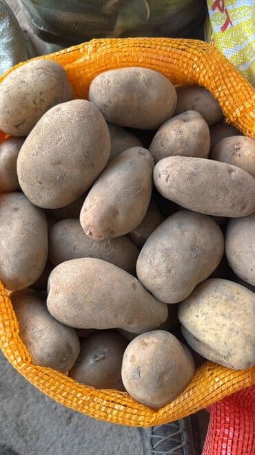 стульчик для кормления 3 в 1: Картошка Джелли, Оптом — 1