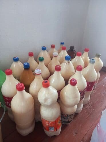 где в бишкеке можно купить сухие закваски: Таза ыштуу Алайкуу кымызы сатылат Бишкекте, ала тургандар кайрыла — 2