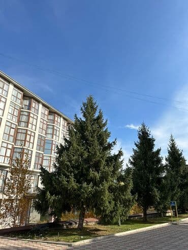 квартиры на иссык куль: 3 комнаты, 70 м², Элитка, 3 этаж, Дизайнерский ремонт — 2