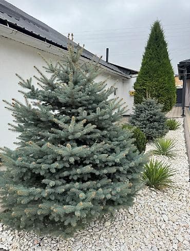 4: 🏡 Продаётся уютный дом в ж/м Ак-Орго! Не рекламировать !!!! 📍 Ул. Б — 4