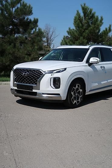 byd leopard 7: Hyundai Palisade: 2021 г., 2.2 л, Автомат, Дизель, Кроссовер — 7