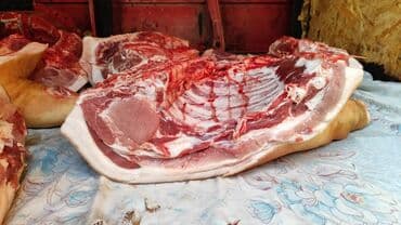 стиральный порошок оптом цена: Чочконун эти : 10 кг ашык, Акысыз жеткирүү — 5