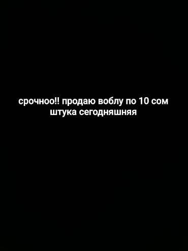Вобла — свежая, сегодняшняя. Цена: 10 сом за штуку. Отлично подходит at lalafo.kg Вобла — свежая, сегодняшняя. Цена: 10 сом за штуку. Отлично подходит