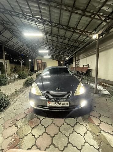 бизнем: Lexus ES: 2004 г., 3.3 л, Автомат, Газ, Седан — 4