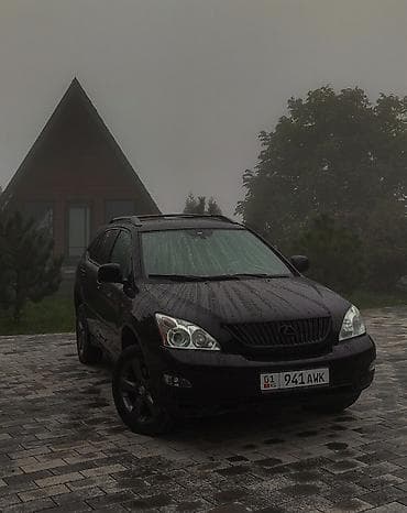 Lexus RX: 2004 г., 3.3 л, Автомат, Газ, Кроссовер