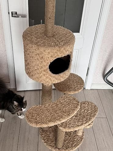 Детский транспорт: Продаю игровой комплекс, домик или башня для кошек, предназначенная — 3