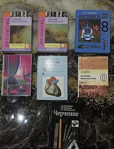 third edition solution: Комплект школьных учебников: - Литература, 8 класс — 1