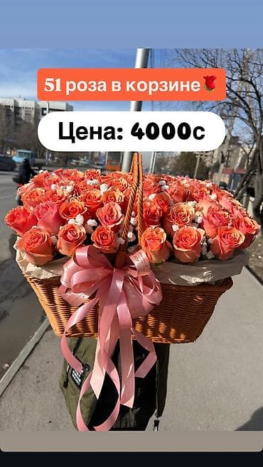 ballet universal: 💗Стол предзаказов на 14 февраля официально открыт! Самый главный день — 6