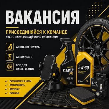 Продажи, работа с клиентами: В магазин автоаксессуаров и автохимии требуется продавщица — 1