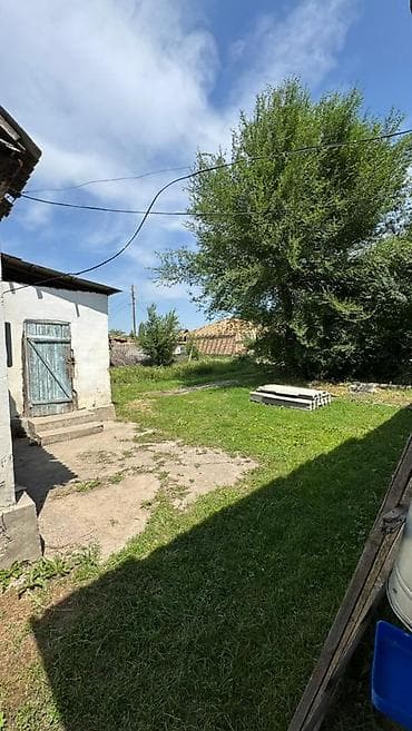 15 соток, Курулуш, Кызыл китеп — 8