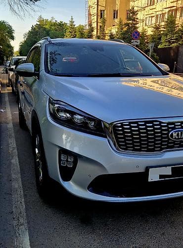 задняя шторка w210: Kia Sorento: 2018 г., 2 л, Автомат, Дизель, Кроссовер — 5