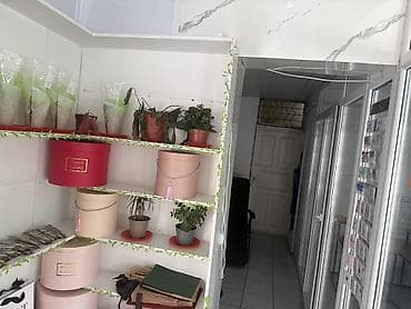 open space: Аренда офисов, 20 м², 1 линия — 8