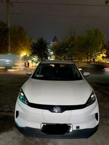 электронные мопеды: Weltmeister EX5, 2020 г., 99000 км, Передний, В наличии — 1