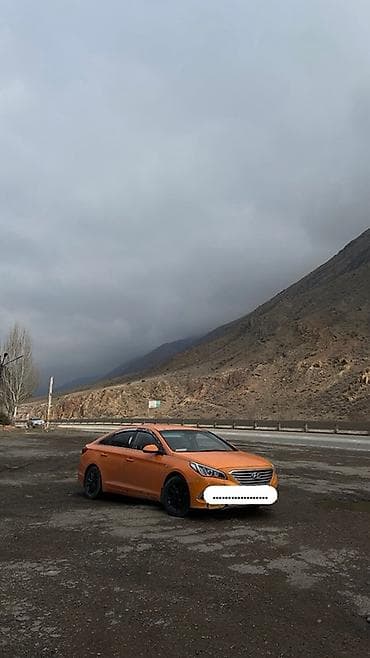 sonata 2014: Hyundai Sonata: 2017 г., 0.2 л, Автомат, Газ, Седан — 1