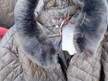 Атайын кийим: Пальтолор, Күз-жаз, Кыска модель, Куру менен, 4XL — 3