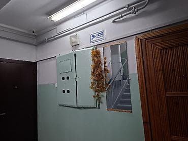 чуйкова 132 2 ком кв: 2 комнаты, 52 м², 105 серия, 3 этаж, Евроремонт — 10