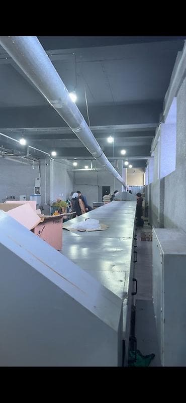 Өндүрүш үчүн жабдуулар: Туннельная печь для выпечки печенья/кондитерских изделий Описание: - — 2