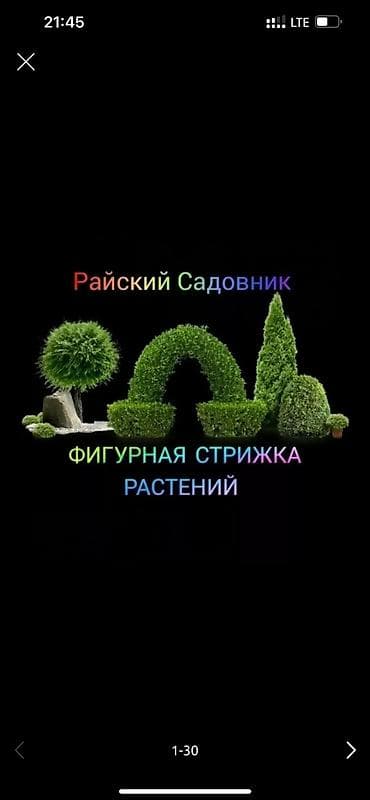 продавец цветов: 🌱Я Садовник Стрижка Живой изгородь,самшит,Туи,хвойные растения, Я — 1