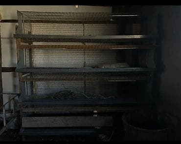 складной ящик: Многоярусные клетки и оборудование для содержания птицы — 2