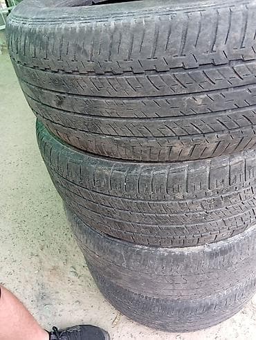 lada 2113: Шины 245 / 55 / R 19, Всесезонная, Комплект, Внедорожные (АТ/МТ), Bridgestone — 3