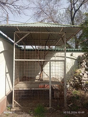 беседка для дома: Вольер/уличная клетка с крышей из профнастила - Просторный — 3